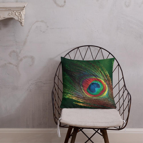 Antique Art Print Decorative Throw Pillow & Cushion More Pankh Peacock Feather