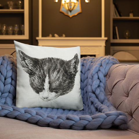 Antique Art Print Decorative Throw Pillow & Cushion Cats 1 rug