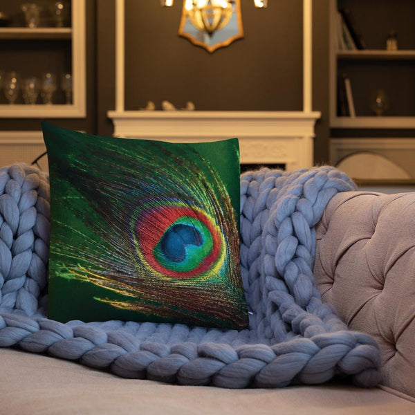 Antique Art Print Decorative Throw Pillow & Cushion More Pankh Peacock Feather