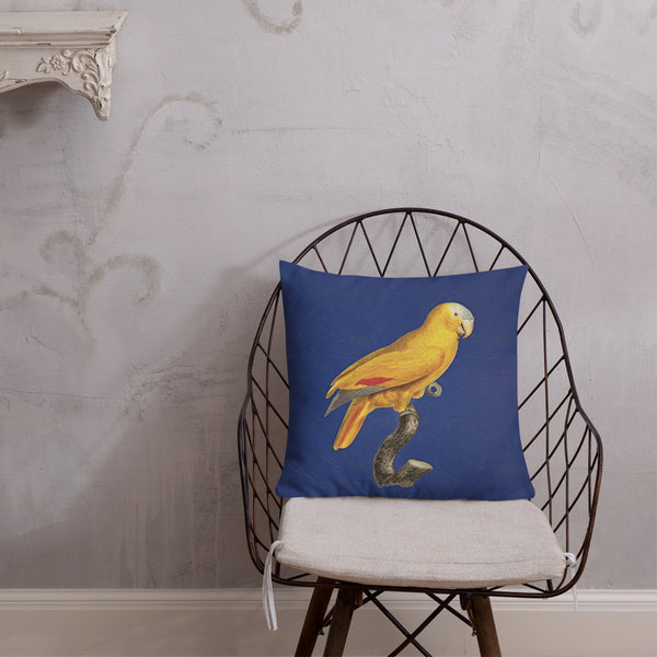 Antique Art Print Decorative Throw Pillow & Cushion Blue Fronted Parrot chair
