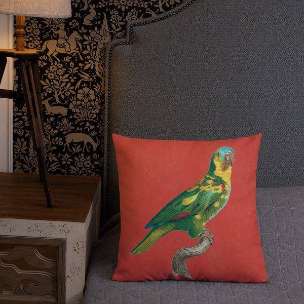 Antique Art Print Decorative Throw Pillow & Cushion Turquoise Fronted Parakeet bed