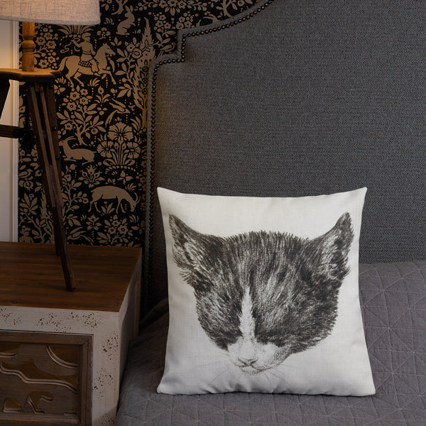 Antique Art Print Decorative Throw Pillow & Cushion Cats 1 bed