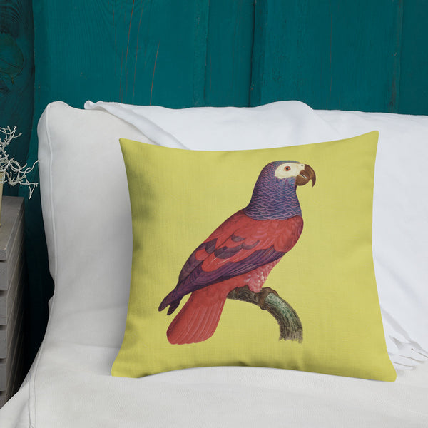 Antique Art Print Decorative Throw Pillow & Cushion Grey Headed Parrot