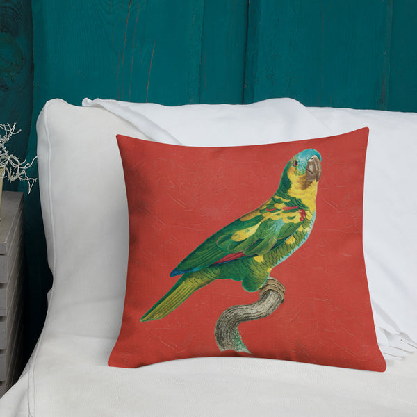 Antique Art Print Decorative Throw Pillow & Cushion Turquoise Fronted Parakeet couch