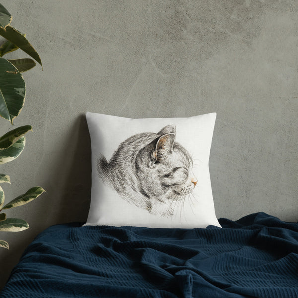 Vintage Art Print  Decorative Throw Pillow / Cushion including insert, 18x18  & 22x22 inches Cats 3