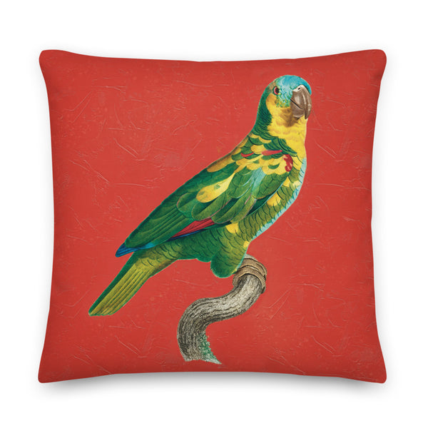 Antique Art Print Decorative Throw Pillow & Cushion Turquoise Fronted Parakeet