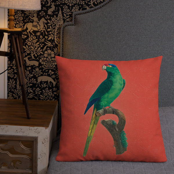 Antique Art Print Decorative Throw Pillow & Cushion Red Crowned Parakeet bed