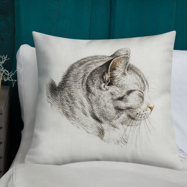 Vintage Art Print  Decorative Throw Pillow / Cushion including insert, 18x18  & 22x22 inches Cats 3