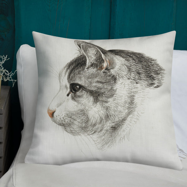 Vintage Art Print  Decorative Throw Pillow / Cushion including insert, 18x18  & 22x22 inches Cats 3