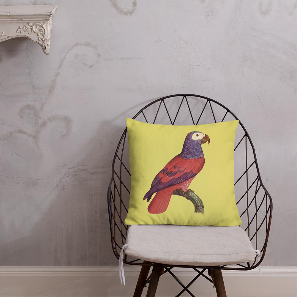 Antique Art Print Decorative Throw Pillow & Cushion Grey Parrot chair
