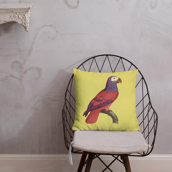 Antique Art Print Decorative Throw Pillow & Cushion Grey Parrot chair