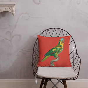 Antique Art Print Decorative Throw Pillow & Cushion Turquoise Fronted Parakeet chair