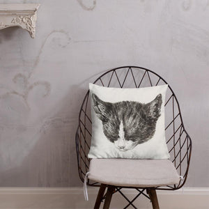 Antique Art Print Decorative Throw Pillow & Cushion Cats 1 chair