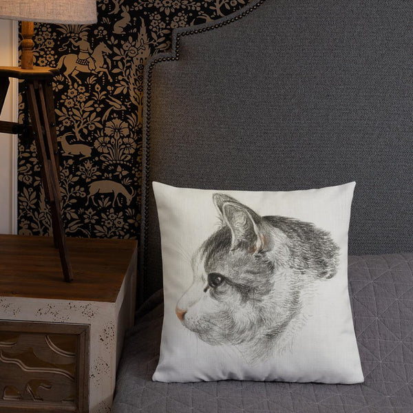 Vintage Art Print  Decorative Throw Pillow / Cushion including insert, 18x18  & 22x22 inches Cats 3