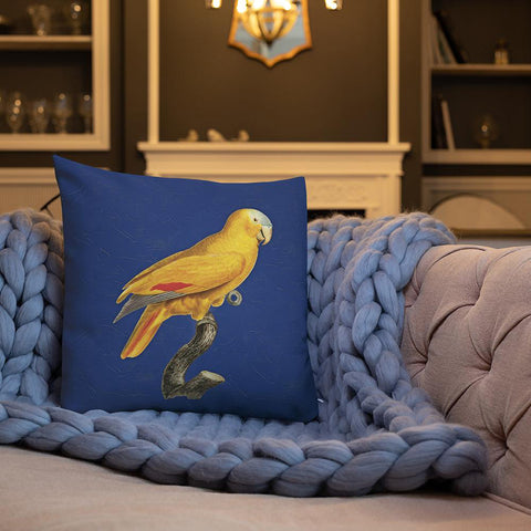 Antique throw pillows deals