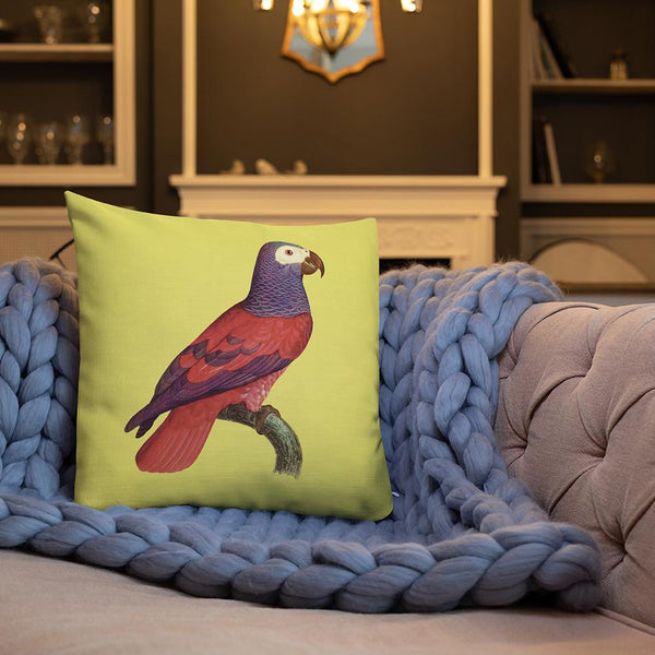 Antique Art Print Decorative Throw Pillow & Cushion Grey Parrot blanket