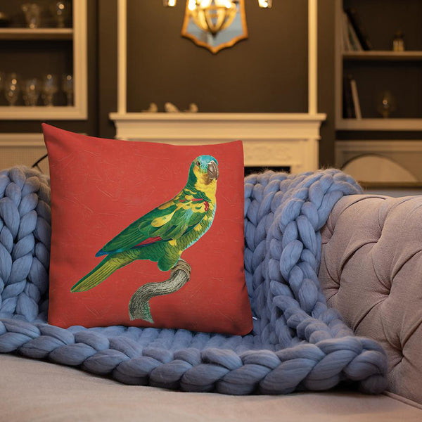 Antique Art Print Decorative Throw Pillow & Cushion Turquoise Fronted Parakeet blanket