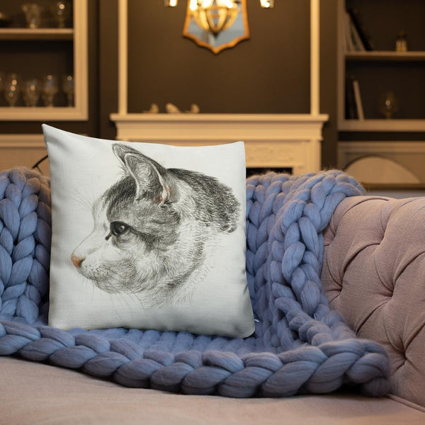 Vintage Art Print  Decorative Throw Pillow / Cushion including insert, 18x18  & 22x22 inches Cats 3