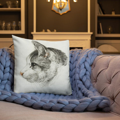 Vintage Art Print  Decorative Throw Pillow / Cushion including insert, 18x18  & 22x22 inches Cats 3