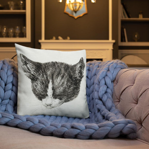 Antique Art Print Decorative Throw Pillow & Cushion Cats 1 rug