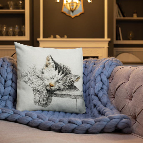Vintage Art Print  Decorative Throw Pillow / Cushion including insert, 18x18  & 22x22 inches Cats 1