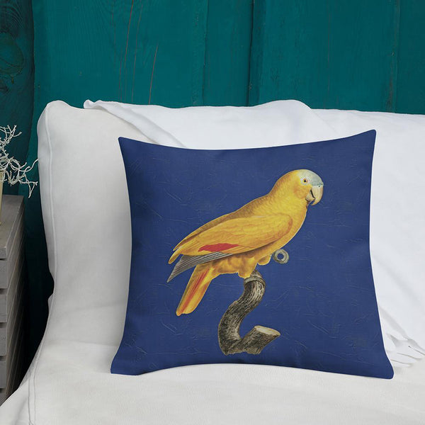 Antique Art Print Decorative Throw Pillow & Cushion Blue Fronted Parrot couch