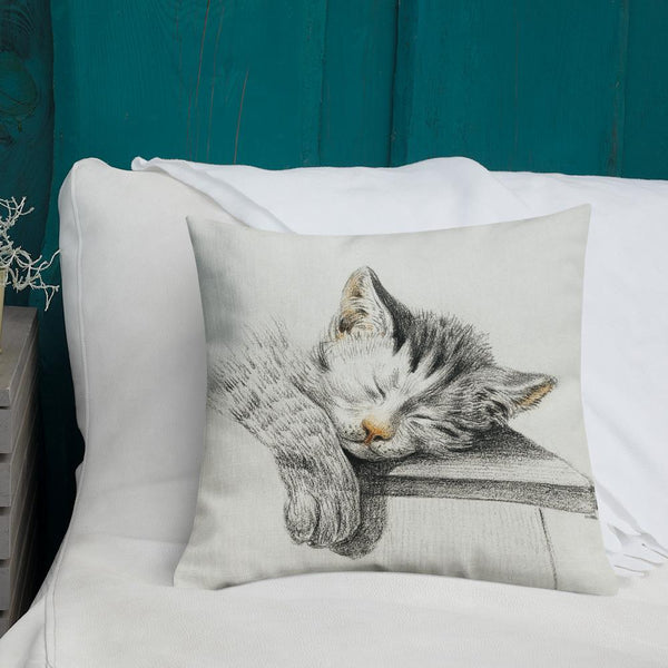 Vintage Art Print  Decorative Throw Pillow / Cushion including insert, 18x18  & 22x22 inches Cats 1