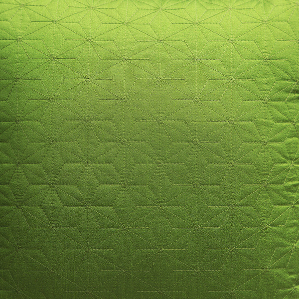 Handmade Satin finish  Decorative Throw Pillow & Cushion Cover Pair 16 x 16 inches Green