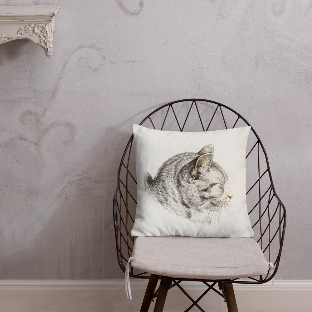 Vintage Art Print  Decorative Throw Pillow / Cushion including insert, 18x18  & 22x22 inches Cats 3