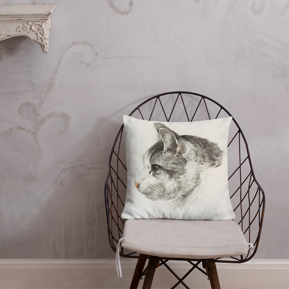 Vintage Art Print  Decorative Throw Pillow / Cushion including insert, 18x18  & 22x22 inches Cats 3