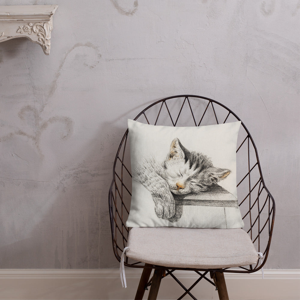 Vintage Art Print  Decorative Throw Pillow / Cushion including insert, 18x18  & 22x22 inches Cats 1