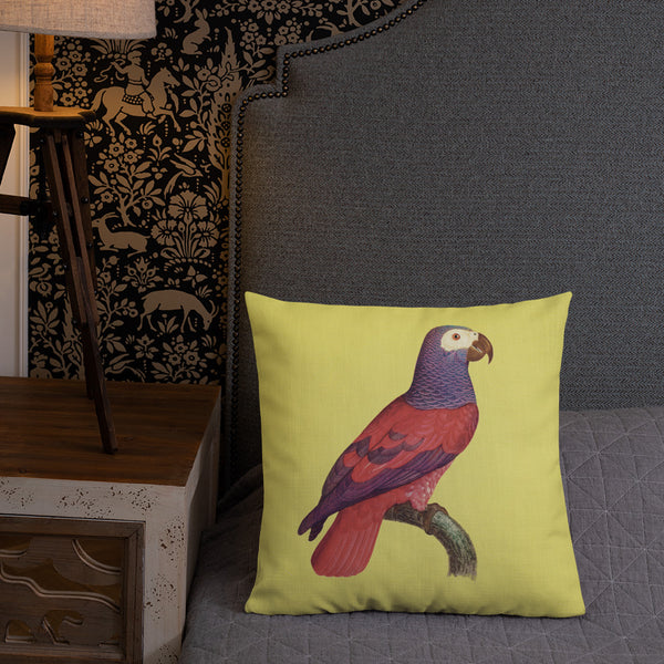 Antique Art Print Decorative Throw Pillow & Cushion Grey Parrot bed