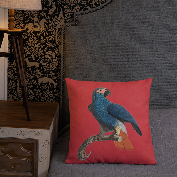 Antique Art Print Decorative Throw Pillow & Cushion Orange Tail Parrot bed