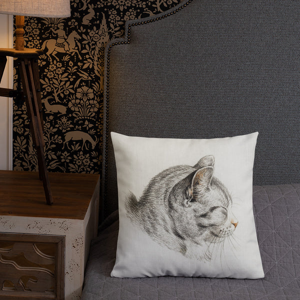 Vintage Art Print  Decorative Throw Pillow / Cushion including insert, 18x18  & 22x22 inches Cats 3