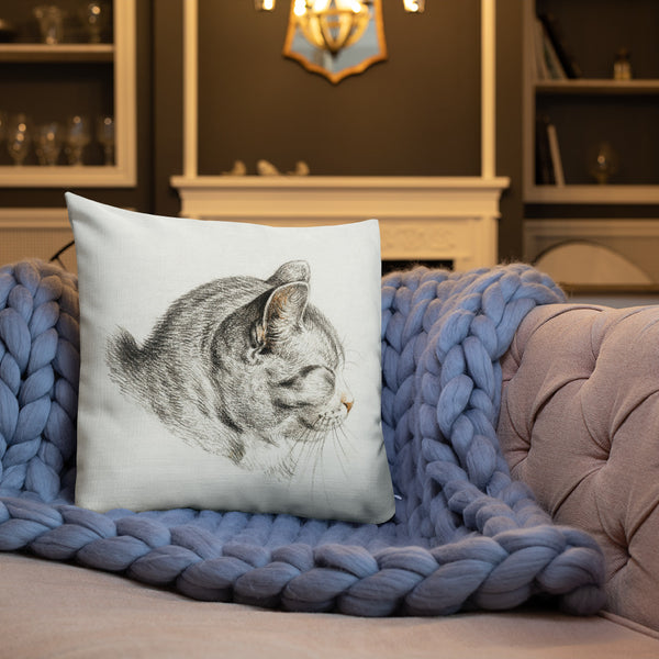 Vintage Art Print  Decorative Throw Pillow / Cushion including insert, 18x18  & 22x22 inches Cats 3
