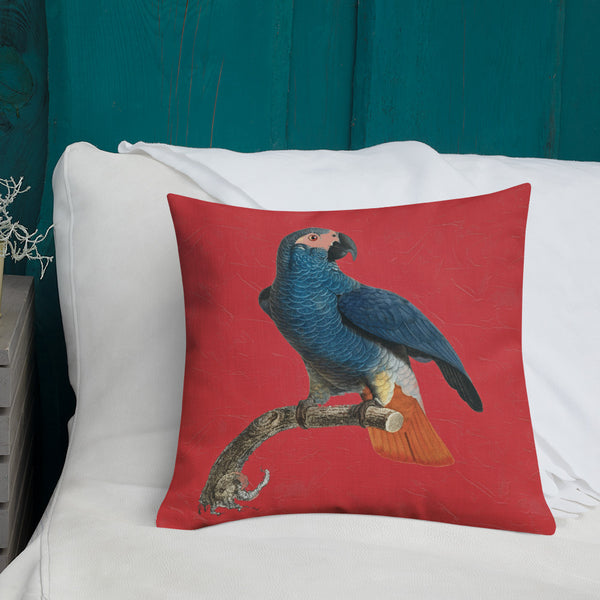 Antique Art Print Decorative Throw Pillow & Cushion Orange Tail Parrot couch