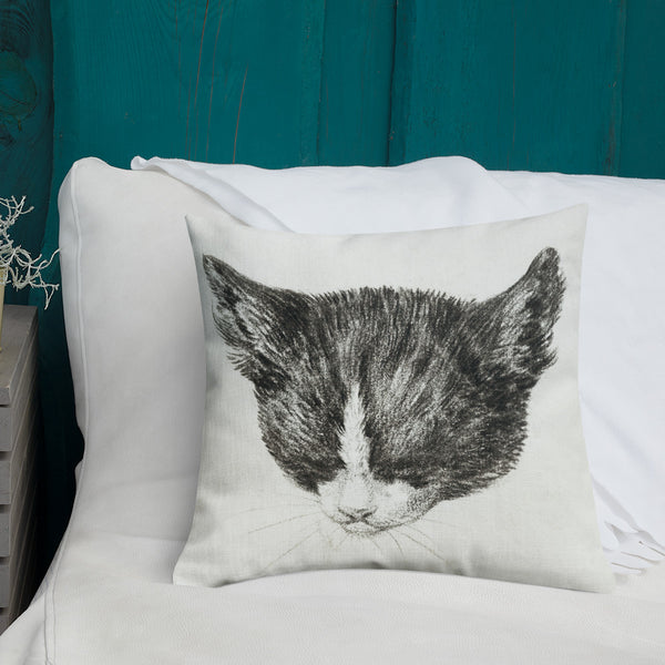 Antique Art Print Decorative Throw Pillow & Cushion Cats 1