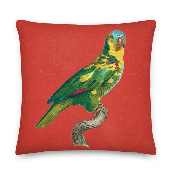 Antique Art Print Decorative Throw Pillow & Cushion Turquoise Fronted Parakeet 