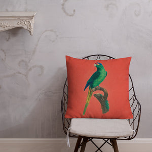 Antique Art Print Decorative Throw Pillow & Cushion Red Crowned Parakeet chair