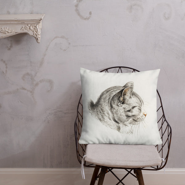 Vintage Art Print  Decorative Throw Pillow / Cushion including insert, 18x18  & 22x22 inches Cats 3