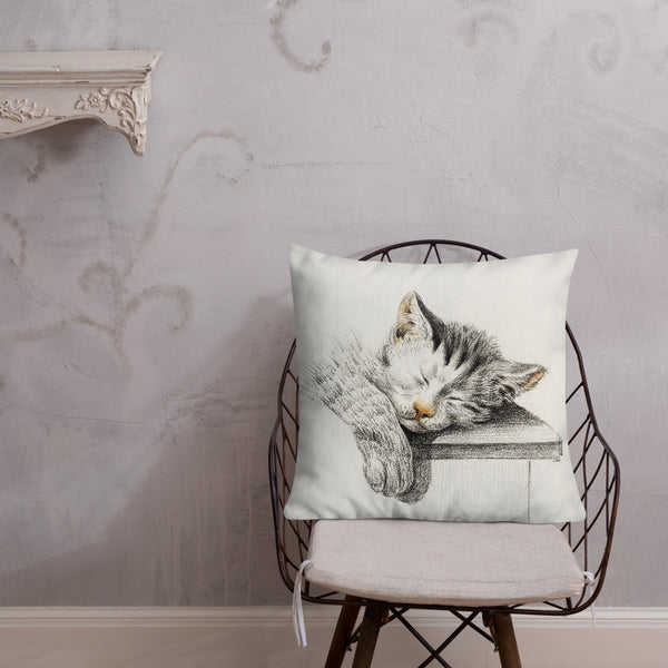 Vintage Art Print  Decorative Throw Pillow / Cushion including insert, 18x18  & 22x22 inches Cats 1