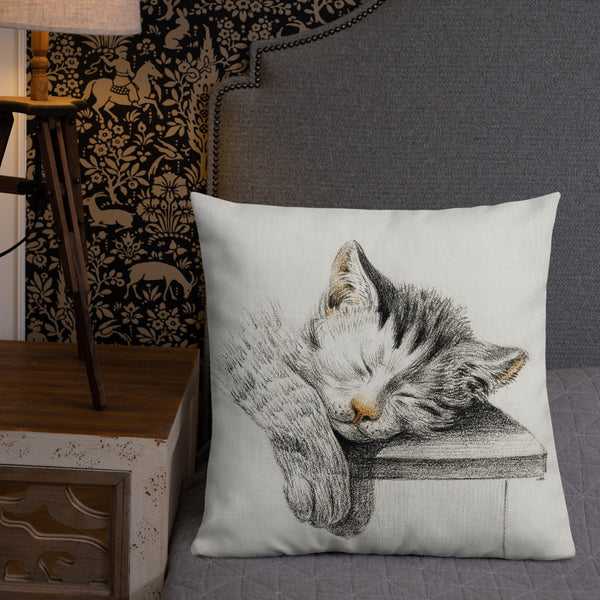 Vintage Art Print  Decorative Throw Pillow / Cushion including insert, 18x18  & 22x22 inches Cats 1