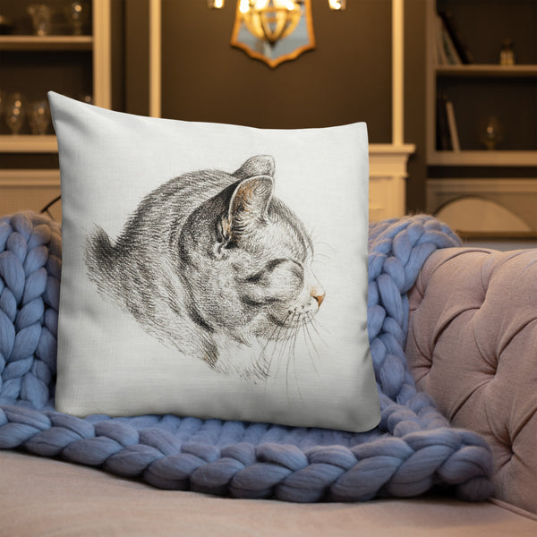 Vintage Art Print  Decorative Throw Pillow / Cushion including insert, 18x18  & 22x22 inches Cats 3