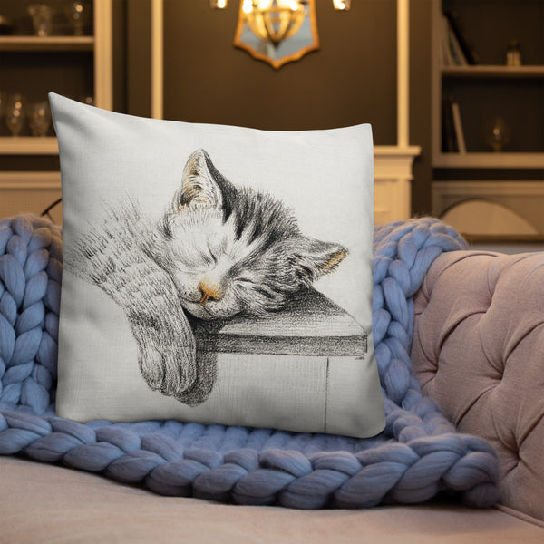Vintage Art Print  Decorative Throw Pillow / Cushion including insert, 18x18  & 22x22 inches Cats 1