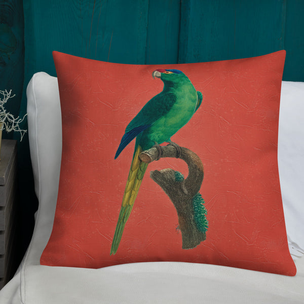 Antique Art Print Decorative Throw Pillow & Cushion Red Crowned Parakeet