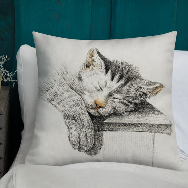 Vintage Art Print  Decorative Throw Pillow / Cushion including insert, 18x18  & 22x22 inches Cats 1