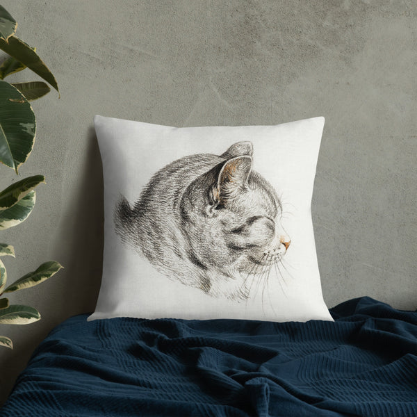 Vintage Art Print  Decorative Throw Pillow / Cushion including insert, 18x18  & 22x22 inches Cats 3