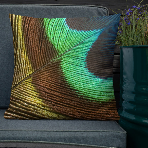 Antique Art Print Decorative Throw Pillow & Cushion - Feather
