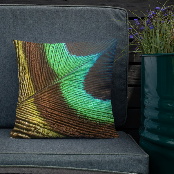 Antique Art Print Decorative Throw Pillow & Cushion - Feather